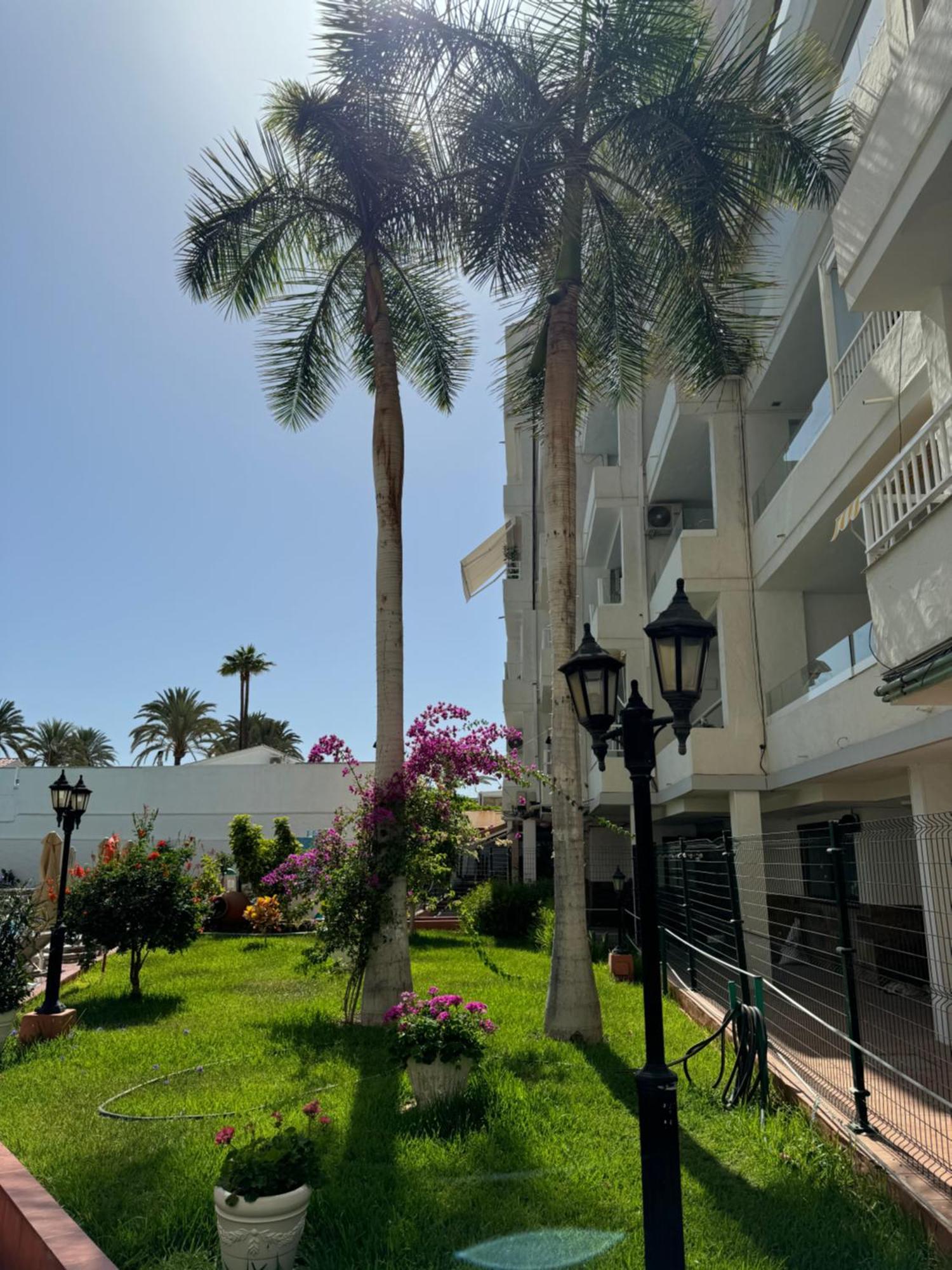 Apartamento Reformado En Apartamentos Tanife, Playa Del Ingles ซานบาร์โตโลเม ภายนอก รูปภาพ