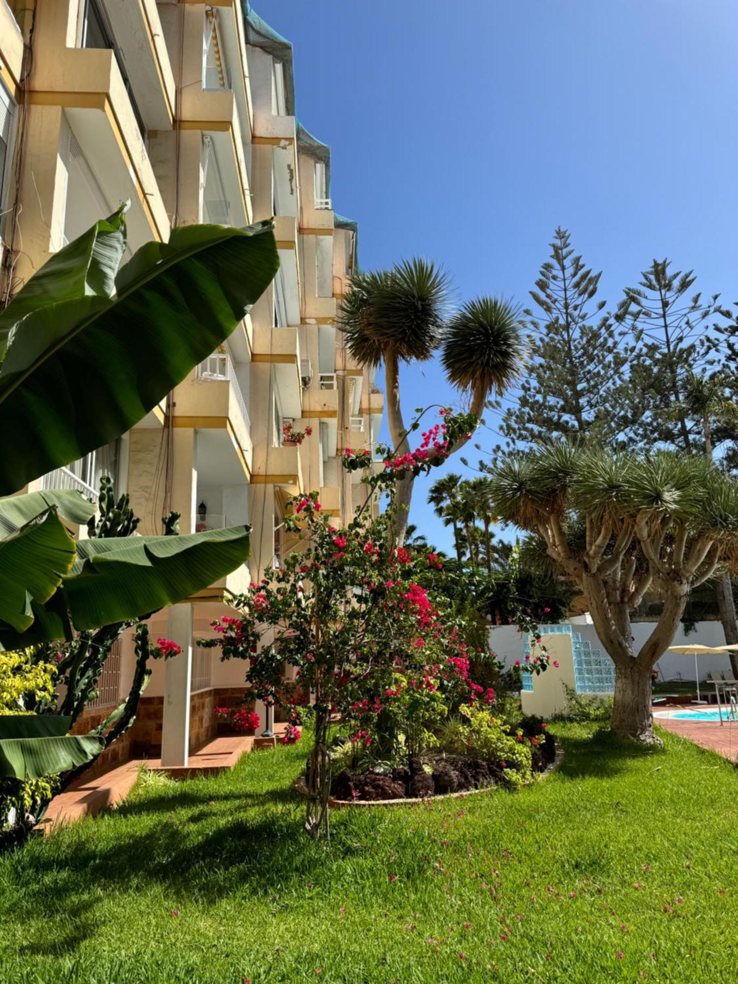 Apartamento Reformado En Apartamentos Tanife, Playa Del Ingles ซานบาร์โตโลเม ภายนอก รูปภาพ